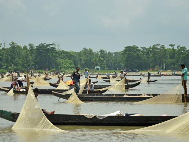 হালদায় থামছে না মাছ শিকার